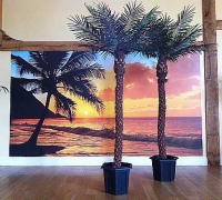 Artificial Palm Tree Hire